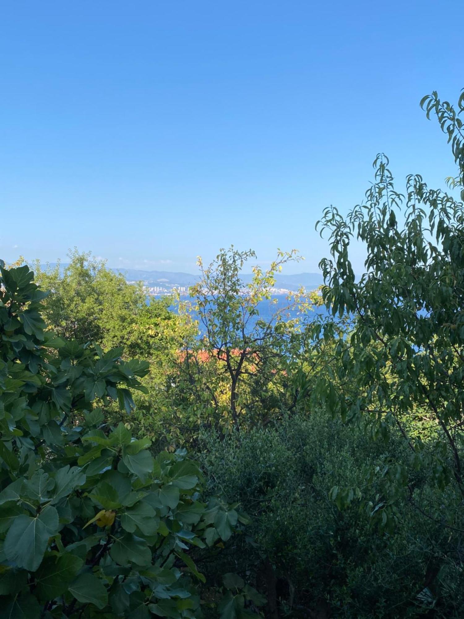 Villa Salyna Ičići Zewnętrze zdjęcie