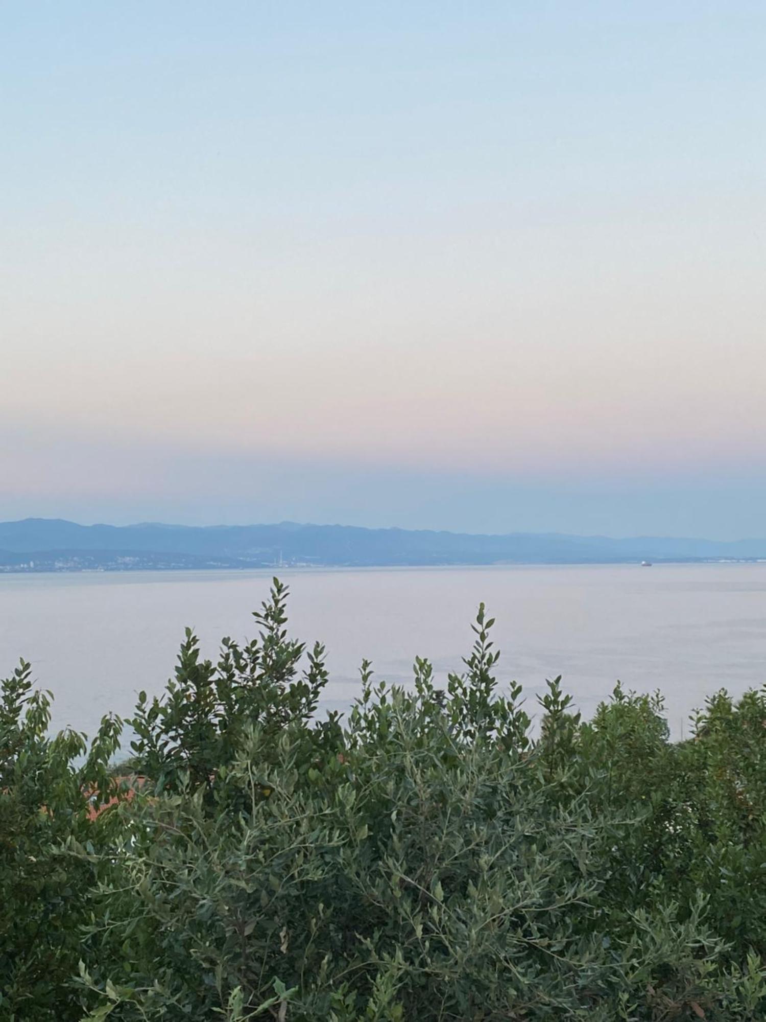 Villa Salyna Ičići Zewnętrze zdjęcie